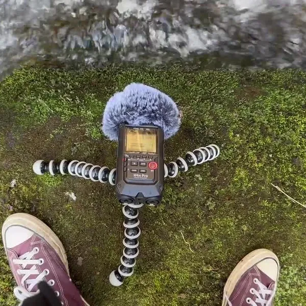 Two feet are standing in the middle of a mossy stone in the middle of a small river. A sound recording device is planted in between the feet. The camera then pans around showing the forest environment and the perhaps precarious situation of the person filming