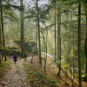 pictures from the walk along the waterfall (geroldsau)