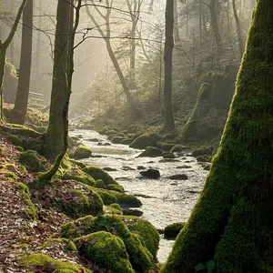 pictures from the walk along the waterfall (geroldsau)