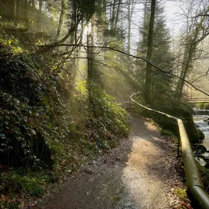 pictures from the walk along the waterfall (geroldsau)