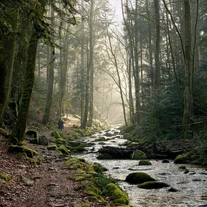 pictures from the walk along the waterfall (geroldsau)