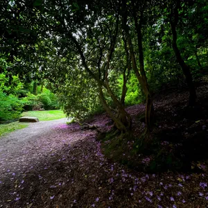 walking near geroldsau waterfalls