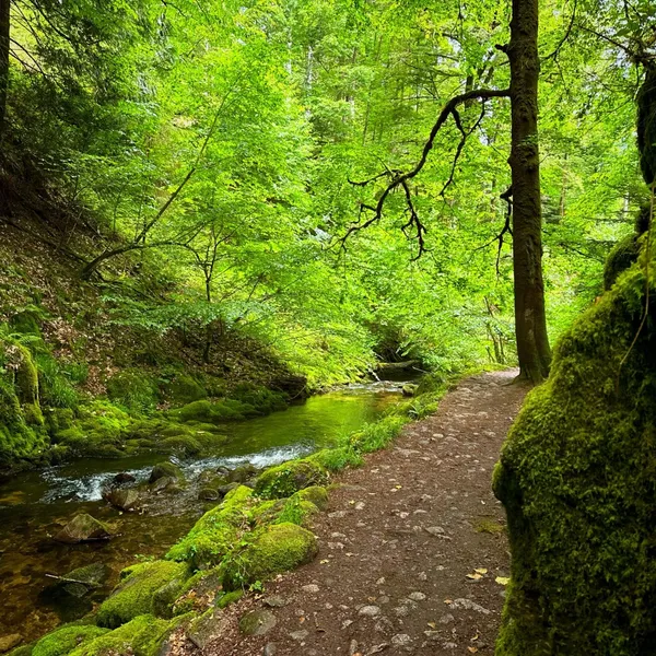 walking near geroldsau waterfalls