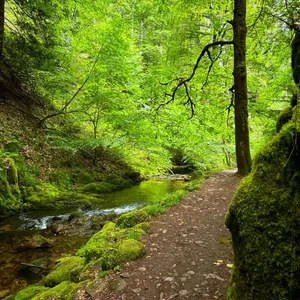 walking near geroldsau waterfalls