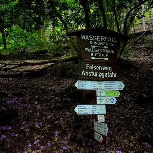 walking near geroldsau waterfalls