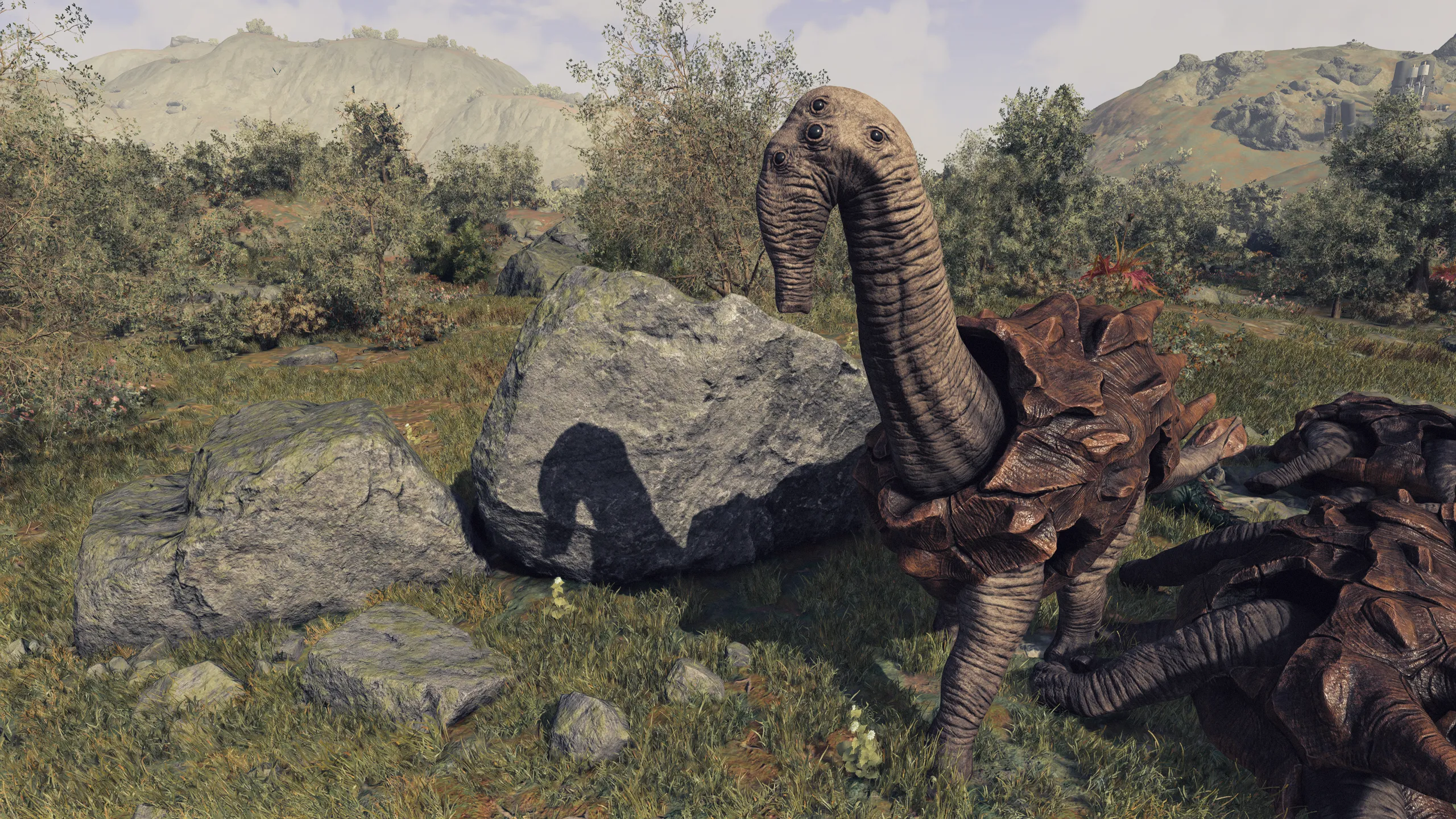 some of the weird creatures you might encounter